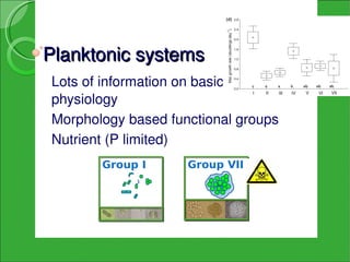 Planktonic systems
Lots of information on basic 
physiology
Morphology based functional groups
Nutrient (P limited)
       Group I      Group VII
 