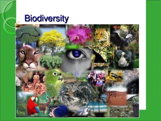 Biodiversity
 