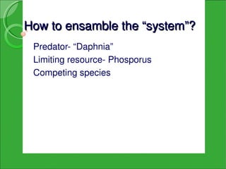 How to ensamble the “system”?
 Predator­ “Daphnia” 
 Limiting resource­ Phosporus
 Competing species
 