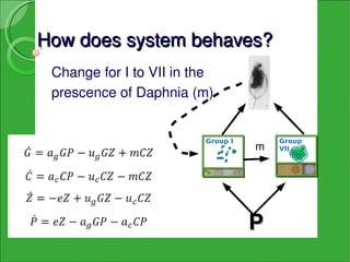 How does system behaves?
 Change for I to VII in the 
 prescence of Daphnia (m)


                          Group I       Group
                                    m   VII




                                    P
 