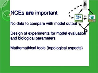 NCEs are important                   Grou
                                     pI
                                             m   Grou
                                                 p VII


No data to compare with model output

                                         P
Design of experiments for model evaluation 
and biological parameters

Mathemathical tools (topological aspects) 
 