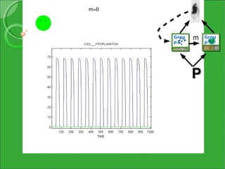 m=0




      Grou   m   Grou
                 p VII
      pI




             P
 