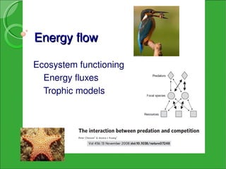 Energy flow

Ecosystem functioning
  Energy fluxes
  Trophic models
 