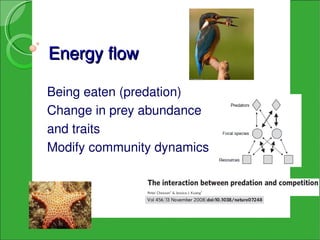 Energy flow

Being eaten (predation)
Change in prey abundance
and traits
Modify community dynamics
 