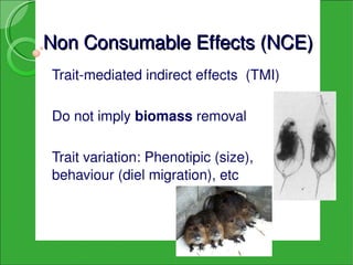 Non Consumable Effects (NCE)
Trait­mediated indirect effects  (TMI)   

Do not imply biomass removal

Trait variation: Phenotipic (size), 
behaviour (diel migration), etc
 