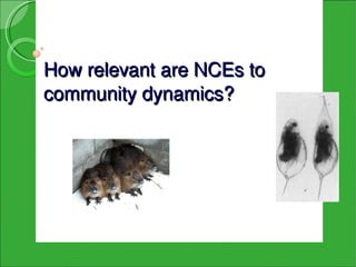 How relevant are NCEs to 
community dynamics?
 