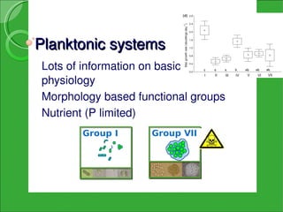 Planktonic systems
 Lots of information on basic 
 physiology
 Morphology based functional groups
 Nutrient (P limited)
  ...