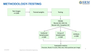 5/25/2024 Department of Biomedical Engineering
8
Test images
n=1500
Trained weights Testing
FRCNN
Resnet-50, VGG-16,
Resnet-101, Inception-V2
Scattered
lymphocytes
n=500
Group of
lymphocytes
n=500
Artifacts
n=500
Evaluation metrics
Precision, Recall, F1-score, Miss rate, False-positives per image
 