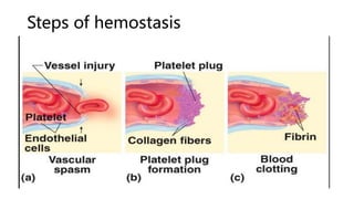 Steps of hemostasis
 