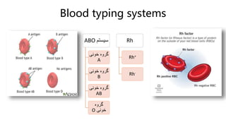 Blood typing systems
‫سیستم‬
ABO
‫خونی‬ ‫گروه‬
A
‫خونی‬ ‫گروه‬
B
‫خونی‬ ‫گروه‬
AB
‫گروه‬
‫خونی‬
O
Rh
Rh+
Rh-
 