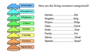 How are the living creatures categorized?
 
