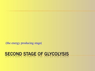 (the energy producing stage(
 