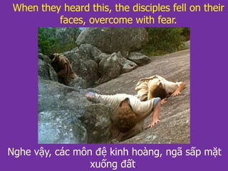 Nghe vậy, các môn đệ kinh hoàng, ngã sấp mặt
xuống đất.
When they heard this, the disciples fell on their
faces, overcome with fear.
 