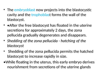Comprehensive Overview of Second Week Human Embryonic Development and ...