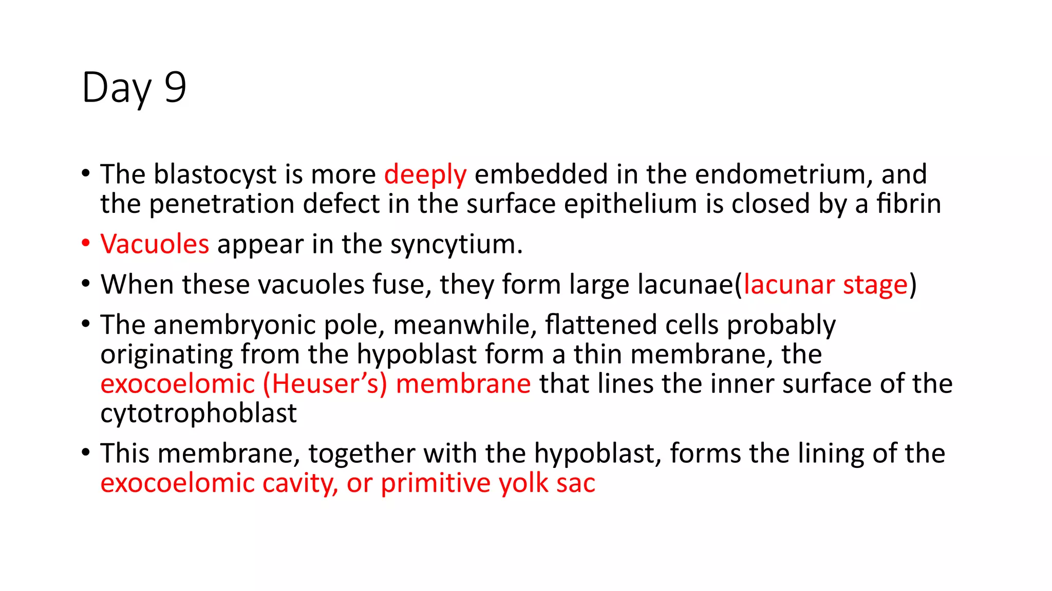 Day 9
• The blastocyst is more deeply embedded in the endometrium, and
the penetration defect in the surface epithelium is closed by a ﬁbrin
• Vacuoles appear in the syncytium.
• When these vacuoles fuse, they form large lacunae(lacunar stage)
• The anembryonic pole, meanwhile, ﬂattened cells probably
originating from the hypoblast form a thin membrane, the
exocoelomic (Heuser’s) membrane that lines the inner surface of the
cytotrophoblast
• This membrane, together with the hypoblast, forms the lining of the
exocoelomic cavity, or primitive yolk sac
 