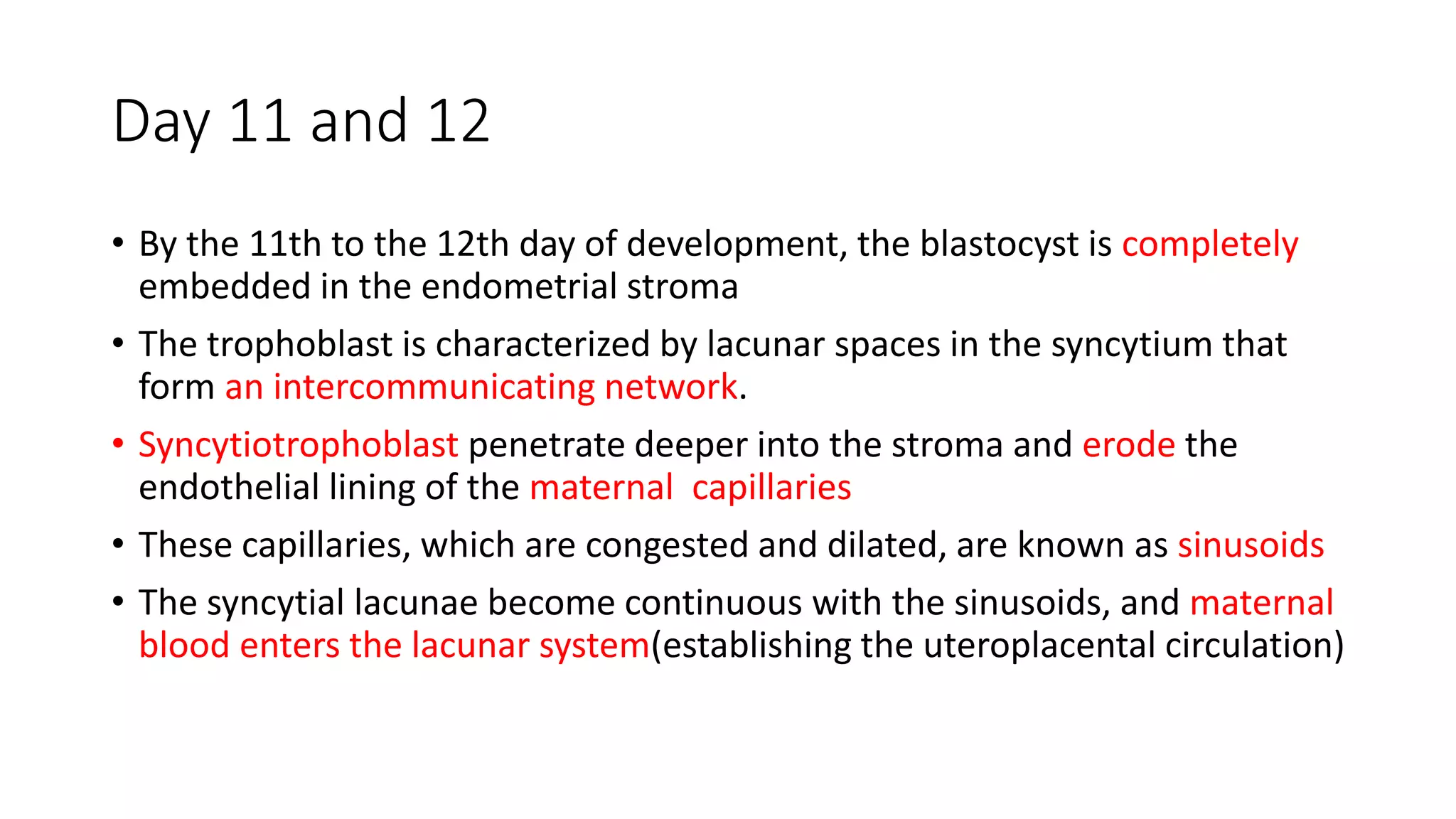 Day 11 and 12
• By the 11th to the 12th day of development, the blastocyst is completely
embedded in the endometrial stroma
• The trophoblast is characterized by lacunar spaces in the syncytium that
form an intercommunicating network.
• Syncytiotrophoblast penetrate deeper into the stroma and erode the
endothelial lining of the maternal capillaries
• These capillaries, which are congested and dilated, are known as sinusoids
• The syncytial lacunae become continuous with the sinusoids, and maternal
blood enters the lacunar system(establishing the uteroplacental circulation)
 