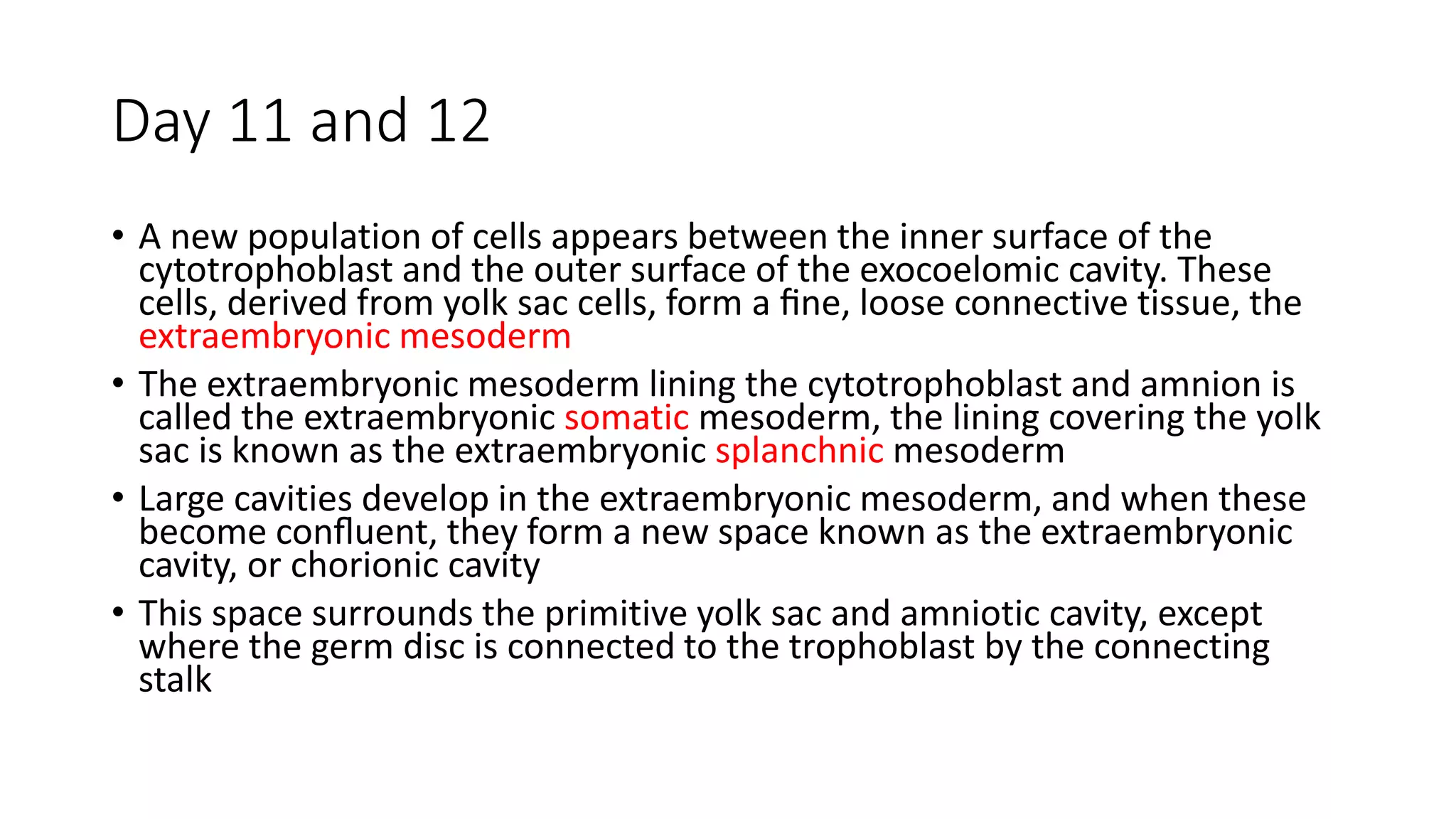 Day 11 and 12
• A new population of cells appears between the inner surface of the
cytotrophoblast and the outer surface of the exocoelomic cavity. These
cells, derived from yolk sac cells, form a ﬁne, loose connective tissue, the
extraembryonic mesoderm
• The extraembryonic mesoderm lining the cytotrophoblast and amnion is
called the extraembryonic somatic mesoderm, the lining covering the yolk
sac is known as the extraembryonic splanchnic mesoderm
• Large cavities develop in the extraembryonic mesoderm, and when these
become conﬂuent, they form a new space known as the extraembryonic
cavity, or chorionic cavity
• This space surrounds the primitive yolk sac and amniotic cavity, except
where the germ disc is connected to the trophoblast by the connecting
stalk
 