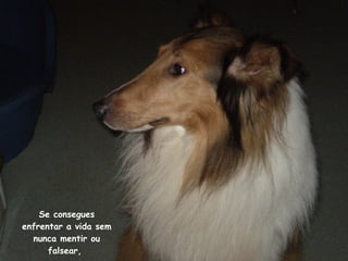 Se consegues enfrentar a vida sem nunca mentir ou falsear,  