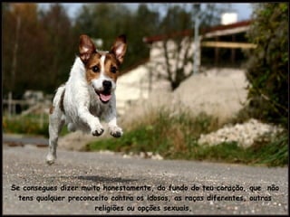 Se consegues dizer muito honestamente, do fundo do teu coração, que  não tens qualquer preconceito contra os idosos, as raças diferentes, outras religiões ou opções sexuais,  