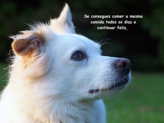 Se consegues comer a mesma comida  todos os  dias e continuar feliz,  