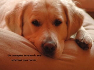 Se consegues termina-lo sem sedativos para dormir,   