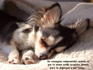 Se consegues compreender quando os que te amam estão ocupados demais para te dispensar o seu tempo,  
