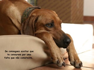 Se consegues aceitar que te censurem por uma falta que não cometeste,  