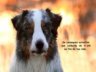 Se consegues acreditar que  cuidarão  de  ti até ao fim da tua vida,  