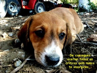 Se consegues
aceitar todas as
críticas sem nunca
te insurgires,

 