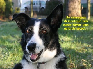 Se consegues
descontrair sem
nunca tomar uma
gota de alcool,

 