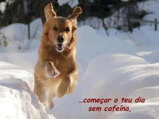 …começar o teu dia
sem cafeína,

 