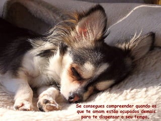 Se consegues compreender quando os
que te amam estão ocupados demais
para te dispensar o seu tempo,

 