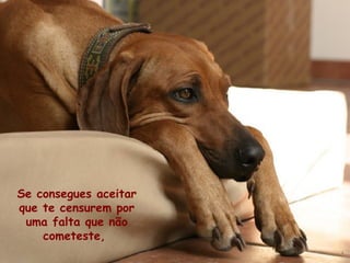 Se consegues aceitar
que te censurem por
uma falta que não
cometeste,

 