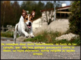 Se consegues dizer muito honestamente, do fundo do teu coração, que  não tens qualquer preconceito contra os idosos, as raças diferentes, outras religiões ou opções sexuais,  