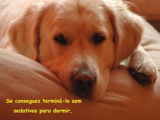 Se consegues terminá-lo sem sedativos para dormir,   