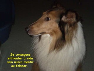 Se consegues enfrentar a vida sem nunca mentir ou falsear,  