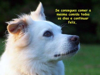 Se consegues comer a mesma comida  todos os  dias e continuar feliz,  