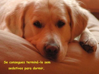 Se consegues terminá-lo sem sedativos para dormir,   