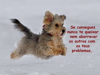 Se consegues nunca te queixar  nem aborrecer os outros com  os teus problemas,  