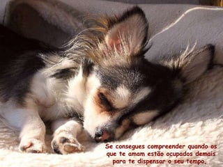 Se consegues compreender quando os que te amam estão ocupados demais para te dispensar o seu tempo,  