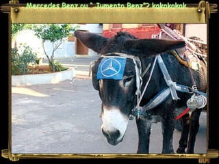 Mercedes Benz ou “ Jumento Benz”? kakakakak
 