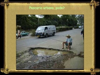 Pescaria urbana, pode?
 