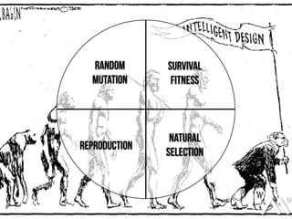 Random
Mutation
Survival
Fitness
Natural
Selection
Reproduction
 