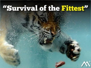 “Survival of the Fittest”
 