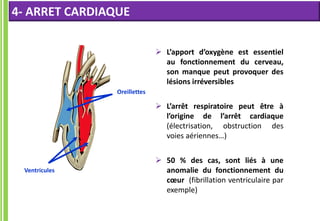  L’apport d’oxygène est essentiel
au fonctionnement du cerveau,
son manque peut provoquer des
lésions irréversibles
 L’arrêt respiratoire peut être à
l’origine de l’arrêt cardiaque
(électrisation, obstruction des
voies aériennes…)
 50 % des cas, sont liés à une
anomalie du fonctionnement du
cœur (fibrillation ventriculaire par
exemple)
Oreillettes
Ventricules
4- ARRET CARDIAQUE
 