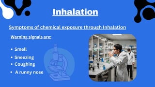 Common Pathways by which Working Chemicals can enter the Body | PDF