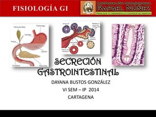 SECRECIÓN
GASTROINTESTINAL
DAYANA BUSTOS GONZÁLEZ
VI SEM – IP 2014
CARTAGENA
 