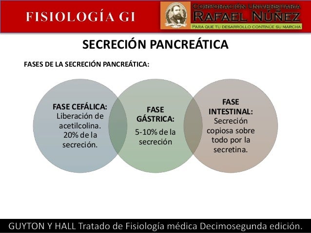 Secreción gastrointestinal Secreción gastrointestinal