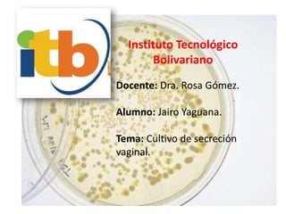 Instituto Tecnológico
Bolivariano
Docente: Dra. Rosa Gómez.
Alumno: Jairo Yaguana.
Tema: Cultivo de secreción
vaginal.
 