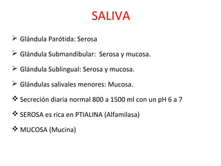 SALIVA
 Glándula Parótida: Serosa
 Glándula Submandibular: Serosa y mucosa.
 Glándula Sublingual: Serosa y mucosa.
 Glándulas salivales menores: Mucosa.
 Secreción diaria normal 800 a 1500 ml con un pH 6 a 7
 SEROSA es rica en PTIALINA (Alfamilasa)
 MUCOSA (Mucina)
 